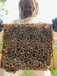 independent honey maker